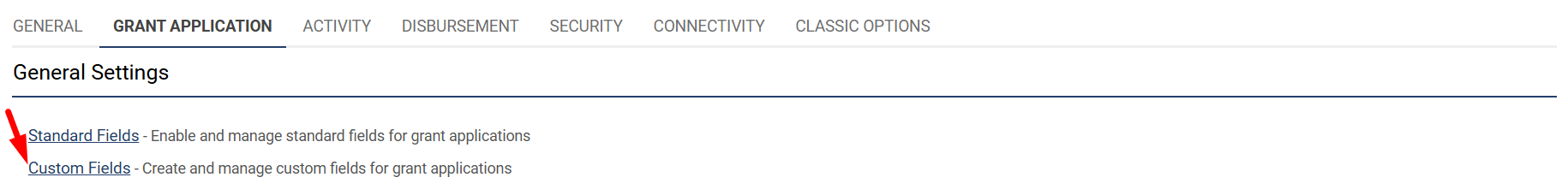 Custom Fields link