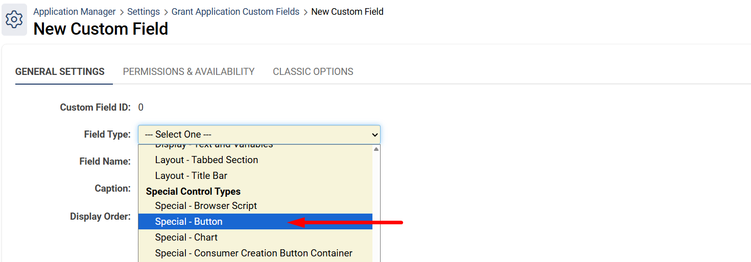 Spcial - Button custom field in the drop-down menu