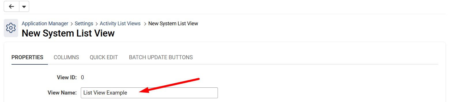 View Name field