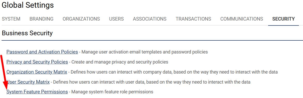 System Feature Permissions
